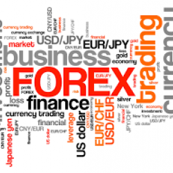 Forex trader