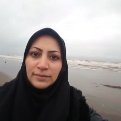 دانشجوی دکترای مهندسی برق