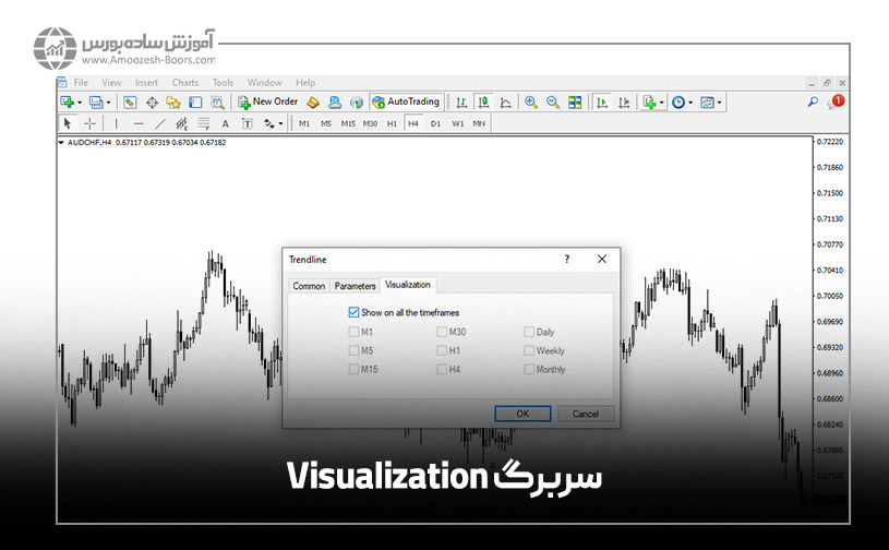 سربرگ Visualization