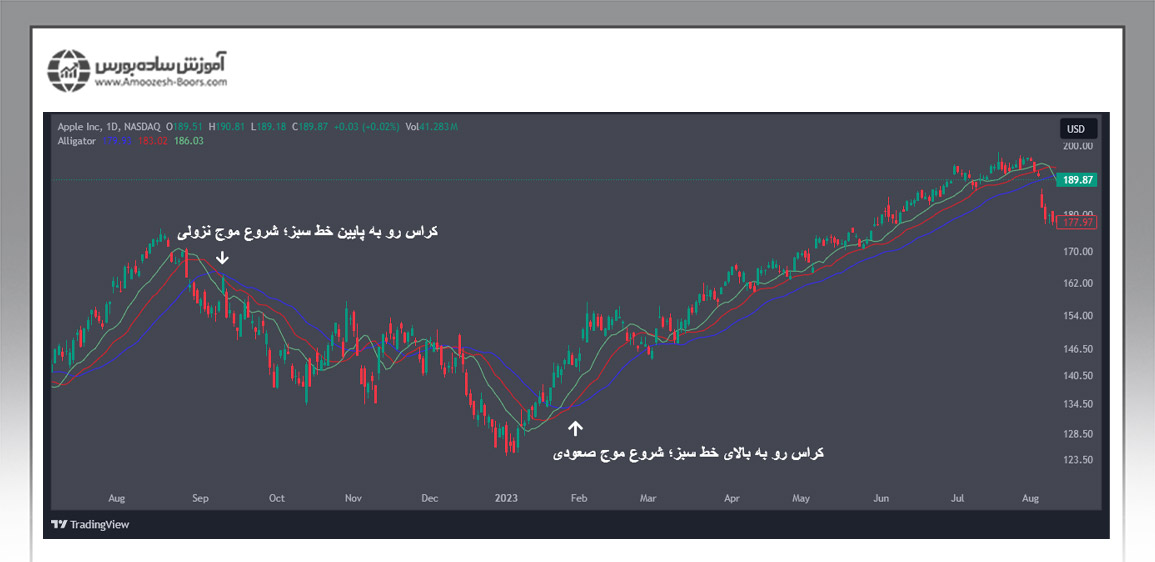 اولین ابزار سیستم معاملاتی NTD؛ اندیکاتور الیگیتور